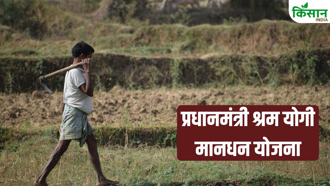 Pm Sym Scheme Provide A Monthly Pension Of Rs 3000 After 60 Secure Your Old Age With Just Small Savings