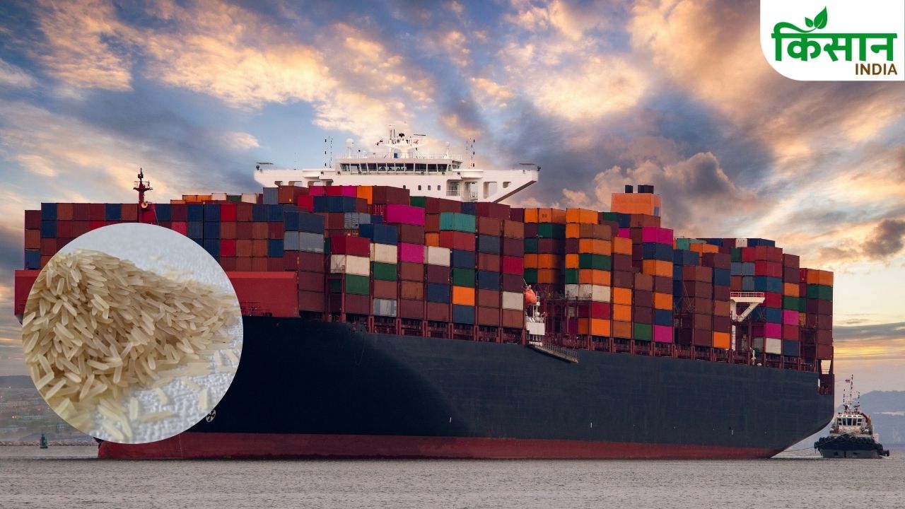 Basmati Export India Cooperative Model Farmers Income Growth 2025