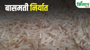 वैश्विक बाजार में भारतीय चावल का डंका, बासमती निर्यात में भारी उछाल से खूब घर आया डॉलर