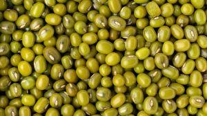 कम समय में ज्यादा पैदावार चाहिए, तो मूंग की ये 3 किस्में किसानों को देंगी रिकॉर्ड तोड़ मुनाफा