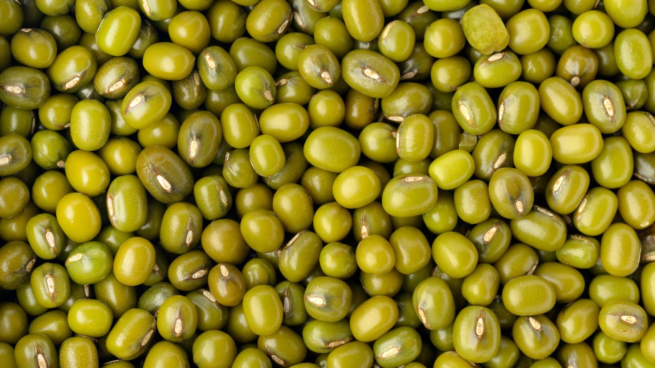 Bke Farmer Leaders Were Enraged Cm Bhajanlal Statement Ashok Gehlot Condemned It And Heated Up Rajasthan Politics