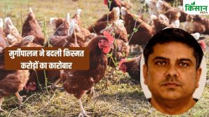 Success Story: 12 करोड़ का टर्नओवर! जानें पोल्ट्री फार्मिंग से 13 साल में कैसे बदली सैफ अहमद की जिंदगी