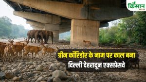 विकास की रफ्तार या वन्यजीवों पर वार…दिल्ली-देहरादून एक्सप्रेसवे ने बदली तस्वीर या बढ़ाई परेशानी?