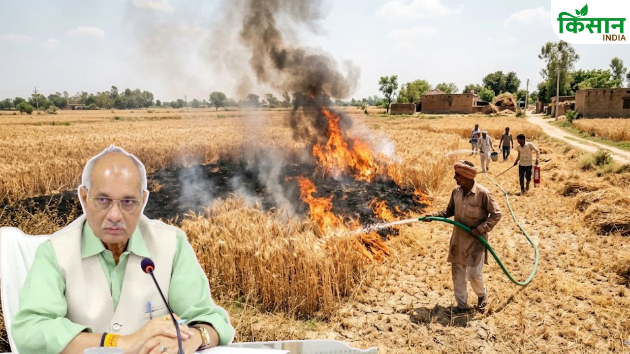 Uttar Pradesh Agriculture Department Issued Instructions One Mistake Summer Can Burn Entire Crop