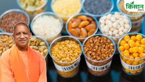 15 करोड़ सब्सिडी… स्टोरेज पर 4 करोड़, यूपी सरकार का किसानों के लिए बड़ा ऐलान