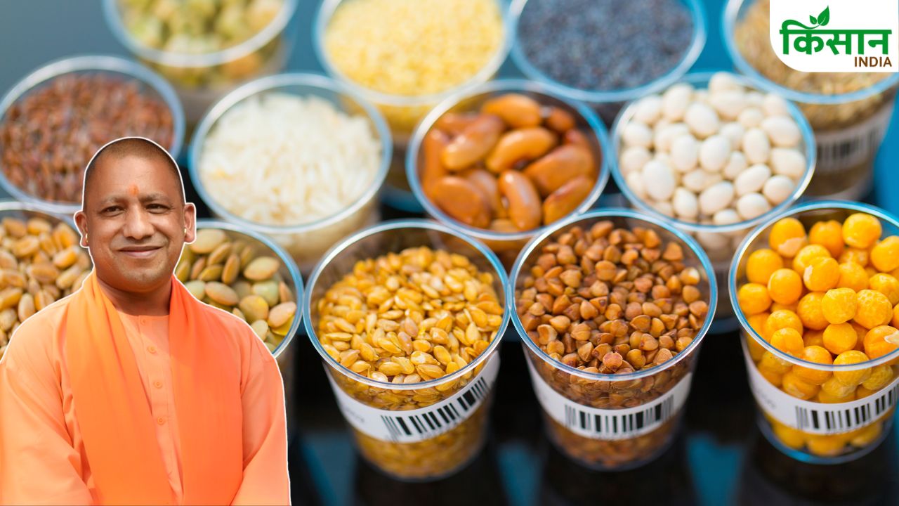 15 Crore Subsidy On Hybrid Seeds 4 Crore Storage Facilities Big Announcement By Uttar Pradesh Government For Farmers
