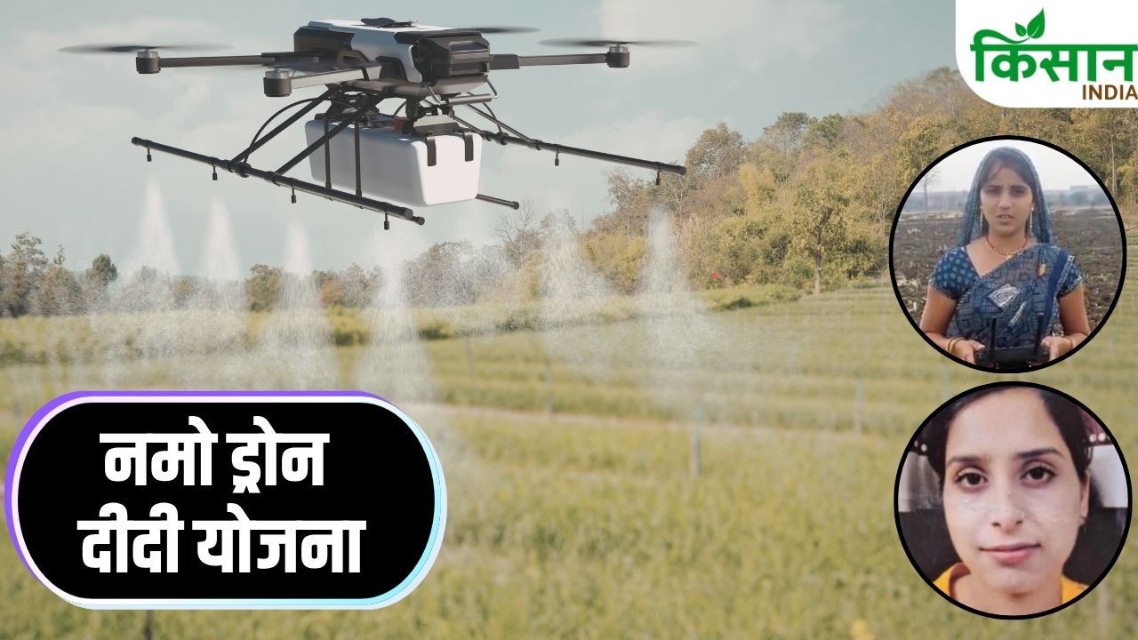 Madhya Pradesh Reena Chandel Nidha Akhtar Drone Didi Scheme Success Success Story Women Farming Income