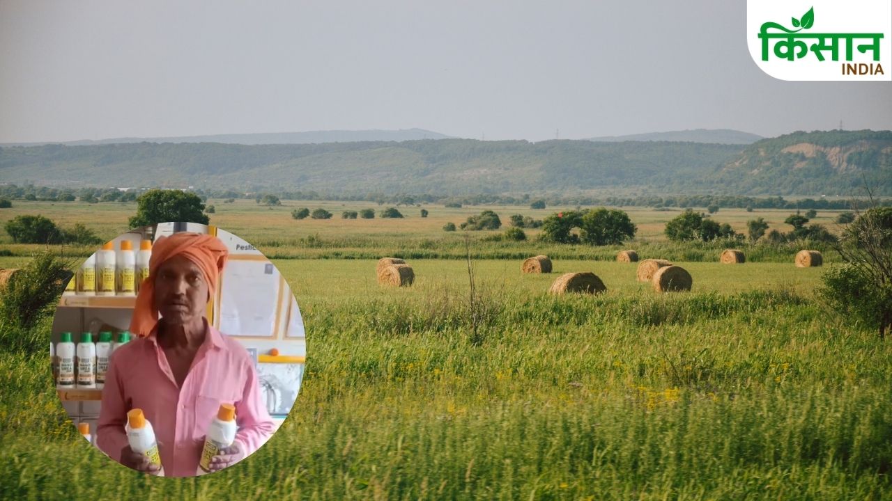 Nano Dap Wheat Farming Higher Yield Low Cost Nano Urea Benefits Kanpur Farmer