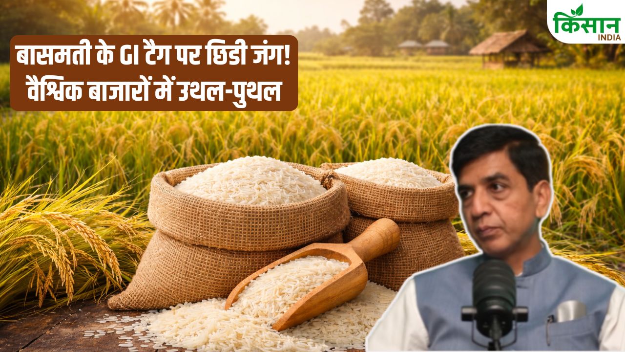 पाक के दावे से भारत का बासमती संकट में! मिडिल ईस्ट में फंसी खेप, पाकिस्तान से पहचान की जंग ने बढ़ाया संकट