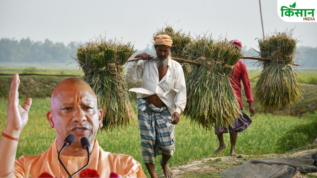 Uttar Pradesh Cm Yogi Big Announcement Hard Work Farmers Not Ruined By Wild Animals