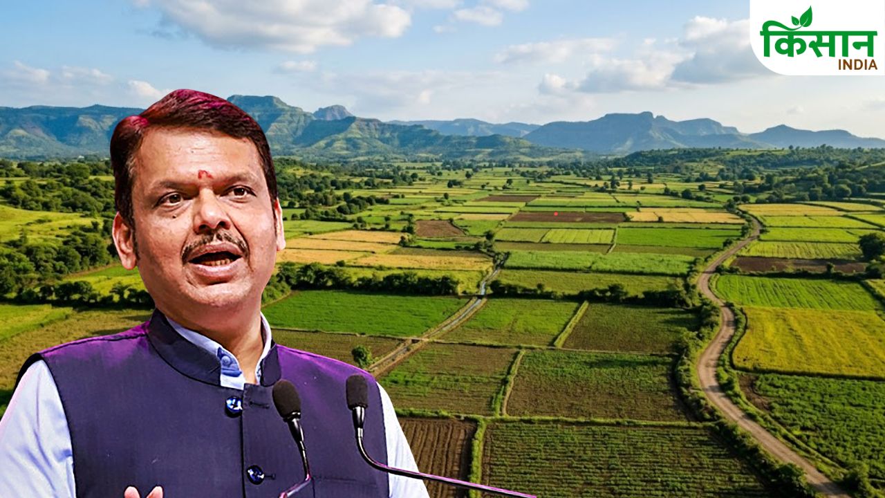 Maharashtra Land Partition Registration Fee Waived Farmers Benefit New Rule