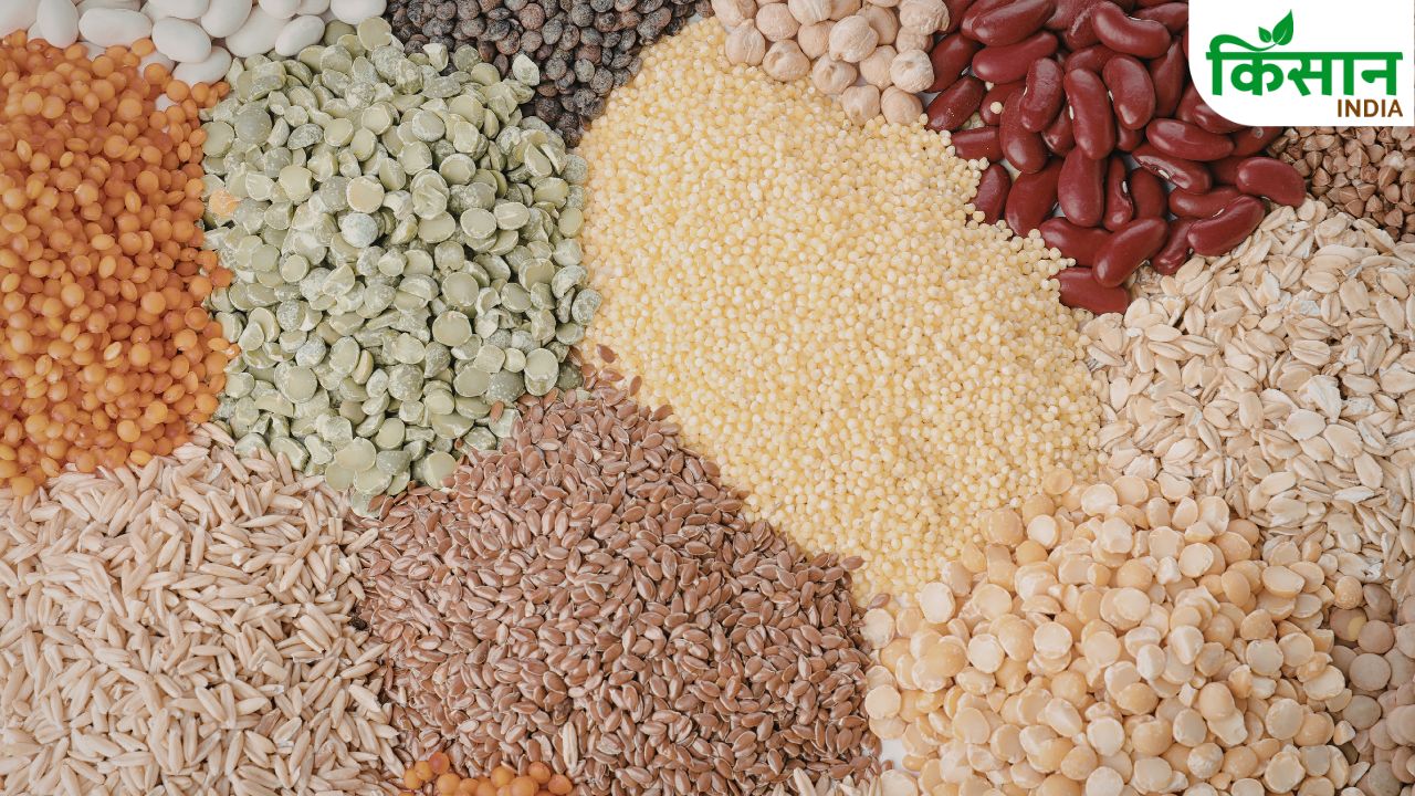 Madhya Pradesh Pulse Oilseed Production Farmers Growth Pm Aasha Scheme