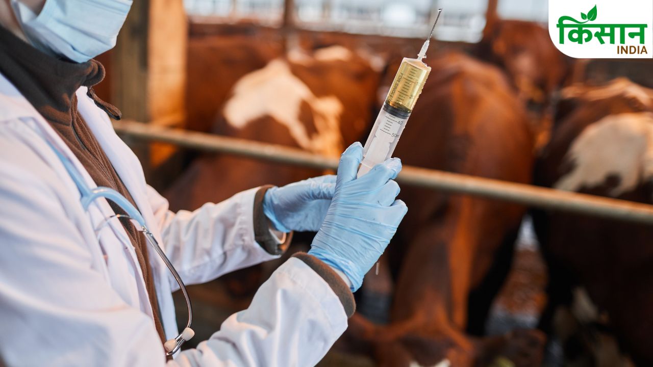 Odisha Animal Health 219 New Veterinary Hospitals Labs Farmers Income Growth