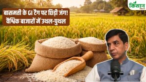 पाक के दावे से भारत का बासमती संकट में! मिडिल ईस्ट में फंसी खेप, पाकिस्तान से पहचान की जंग ने बढ़ाया संकट