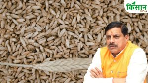 सरकार का मास्टर प्लान! सोलर पंप, डेयरी और नए नियमों से किसानों की आय बढ़ाने का नया प्लान