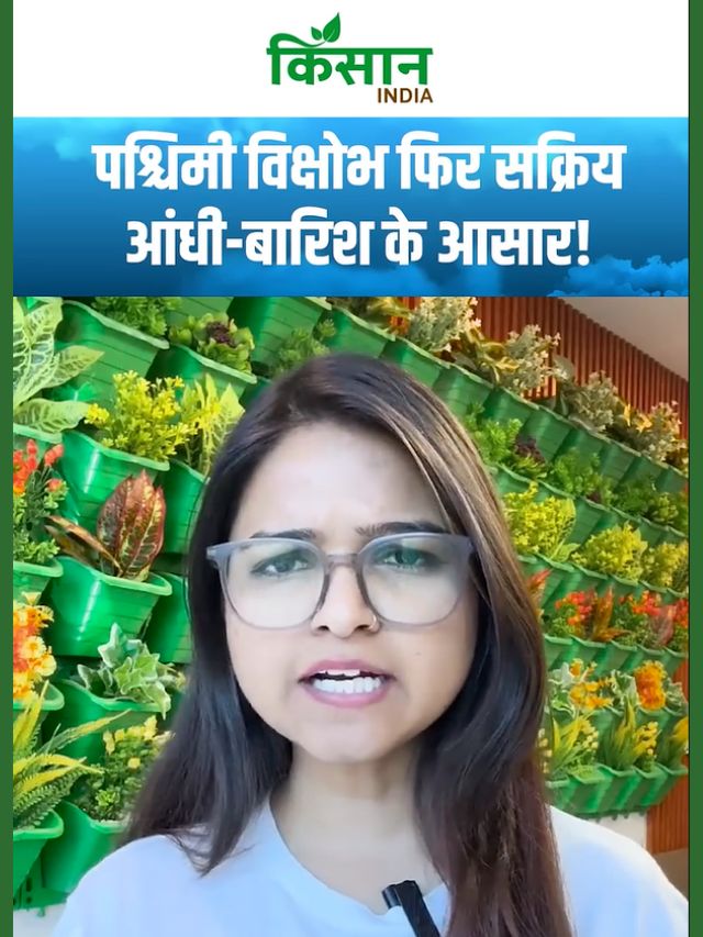 Aaj Ka Mausam :  दिल्ली, पंजाब, हरियाणा में आंधी-बारिश और बिजली गिरने के आसार