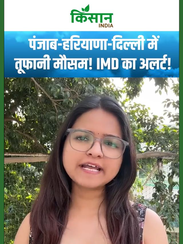 Aaj Ka Mausam:  पंजाब से लेकर Delhi-NCR तक तूफानी बनेगा मौसम! पश्चिमी विक्षोभ की एंट्री