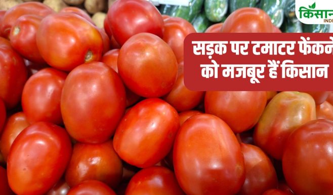 बढ़ने के बजाए घट रहा टमाटर का रेट, इन दो राज्यों में बुरा हाल.. कहीं ईरान-इजरायल जंग तो नहीं है वजह ?