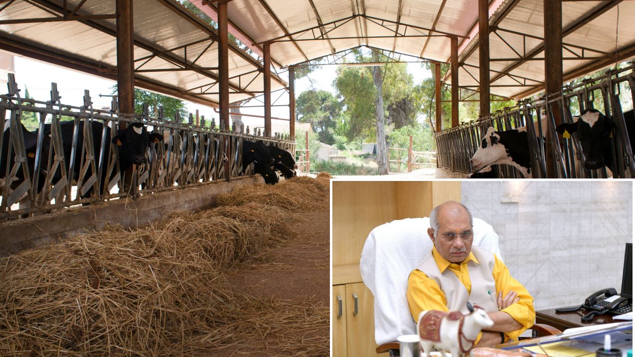 Up Government Gaushala Inspection Drive From 1 To 15 May 2026 10 Quintal Bhusa Mandatory Rules For Cattle Shelters Animal Husbandry Guidelines