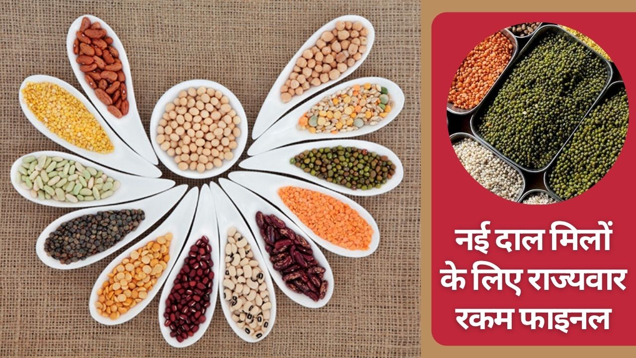 Shivraj Singh Chouhan Said Over Rs 900 Crore Approved For 153 Dal Mills Across Country Check Detyails