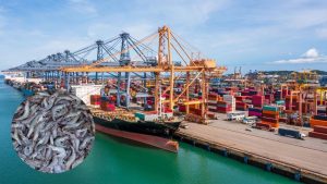 सीफूड एक्सपोर्ट में भारत का जलवा…अमेरिका से जापान तक बढ़ी मांग, झींगा बना सबसे बड़ा कमाई का जरिया