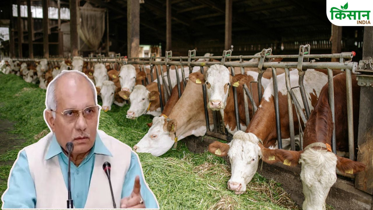 Uttar Pradesh Government Takes Major Action After 7 Cow Die In Pilibhit Minister Dharampal Issues New Guidelines For Cow Shelters