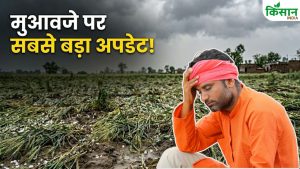 एक्शन में CM योगी, 24 घंटे के अंदर फसल नुकसान का होगा सर्वे.. किसानों को जल्द मिलेगा मुआवजा