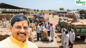 Wheat Procurement: सिर्फ 2 दिन में किसानों के खाते में 6.37 करोड़, मध्य प्रदेश में गेहूं खरीदी ने पकड़ी रफ्तार
