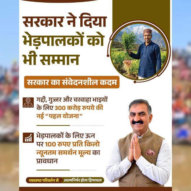 Wool MSP, Himachal Pradesh, Shepherd Community, Rural Economy, Livestock Farming, Government Scheme