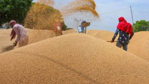 1.45 लाख किसानों के खाते में पहुंचे 920 करोड़ रुपये, आप भी तुरंत चेक करें अपना अकाउंट