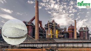 देश की 85 फीसदी चीनी सिर्फ 3 राज्यों से! किसानों की बढ़ी कमाई, शुगर सेक्टर में बड़ा धमाका