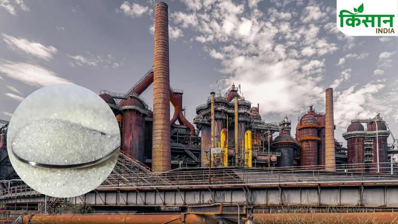 85 Percent Sugar Production From Maharashtra Up Karnatakafarmers Income Rise India