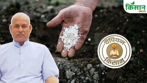 गोबर खाद से बदली किस्मत… किसान ने जैविक खेती से बढ़ाई कमाई, दूसरों के लिए बने मिसाल