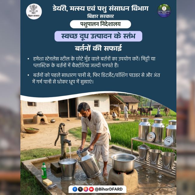 Clean Milk Production, Dairy Farming, Livestock Management, Hygiene Practices, Milk Quality