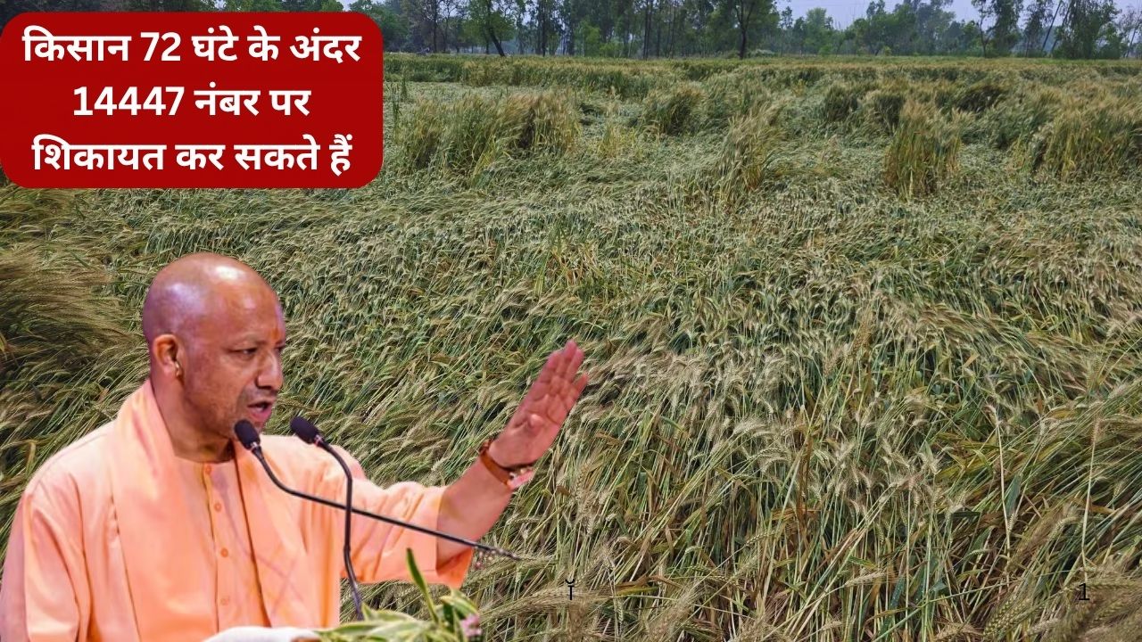 UP में फसल नुकसान का मिलेगा मुआवजा, CM योगी ने मांगी रिपोर्ट.. जिलाधिकारियों को दिए गए निर्देश