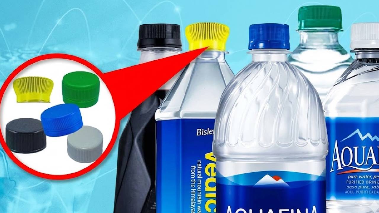 Water Bottle Cap Color Meaning Blue Red Green White Black Water Types Explained Safe Drinking Water Guide