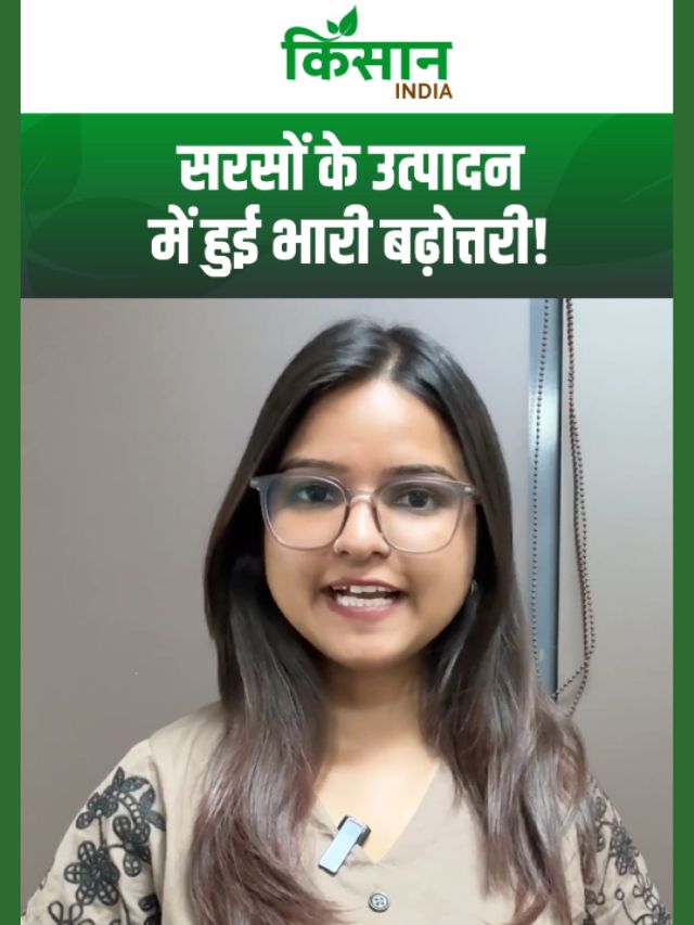 सरसों के उत्पादन में हुई बढ़ोत्तरी, राजस्थान में हुई सबसे ज्यादा पैदावार!