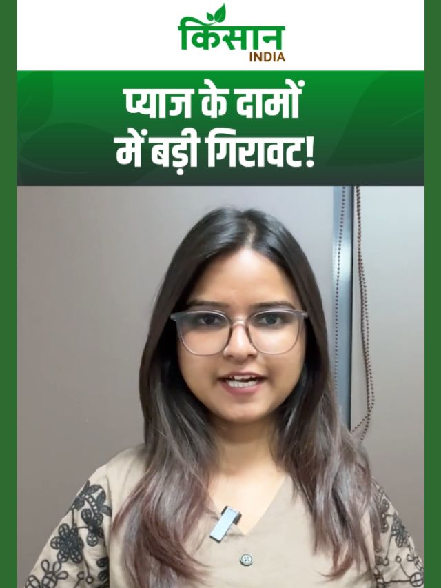 प्याज के दामों में बड़ी गिरावट, महाराष्ट्र के किसानों ने सरकार से की बड़ी मांग