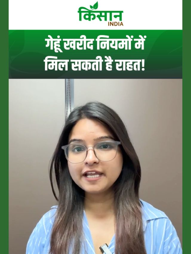 बारिश-ओलों से नुकसान का आकलन शुरू, राजस्थान के बाद अब पंजाब किसानों को राहत की बारी!