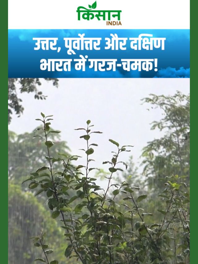 उत्तर, पूर्वोत्तर और दक्षिण भारत में गरज-चमक की संभावना, कहीं बारिश तो कहीं आंधी!