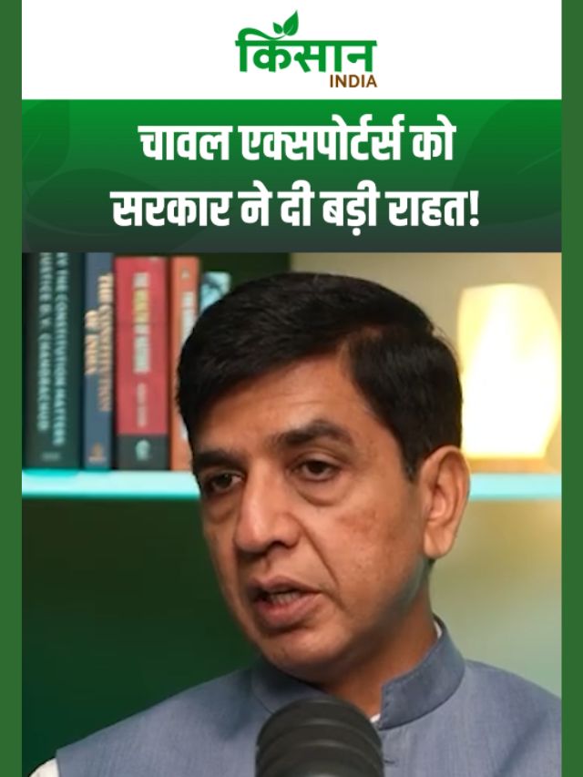 Rice Exporters को केंद्र सरकार ने दी बड़ी राहत, पहली बार लागू हुआ बड़ा कंपनसेशन नियम!