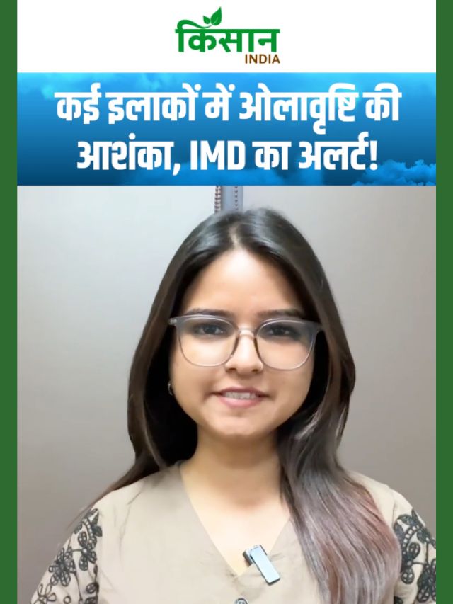 तेज हवाओं के साथ आंधी और गरज-चमक की चेतावनी, कुछ इलाकों में ओलावृष्टि की आशंका!