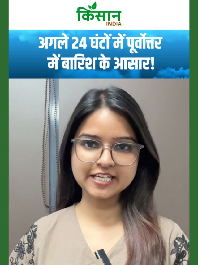 अगले 24 घंटों में पूर्वोत्तर में बारिश के आसार, दक्षिण भारत में हल्की बारिश संभव!