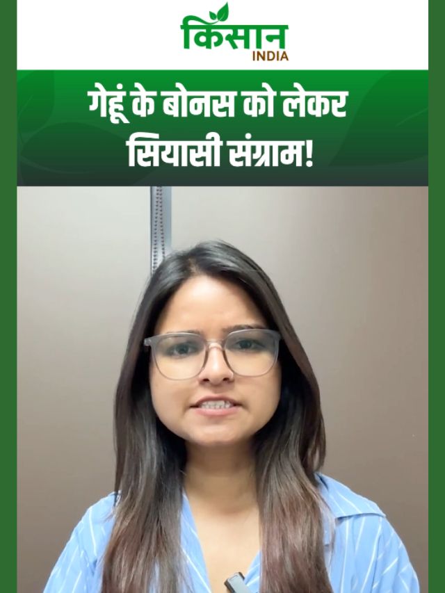 गेहूं बोनस को लेकर सियासी संग्राम, गेहूं-धान के मुद्दे पर केंद्र और राज्य आमने-सामने!