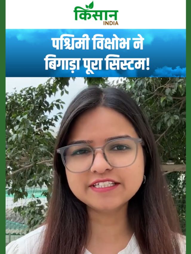 मौसम का कहर! पश्चिमी विक्षोभ ने बिगाड़ा पूरा सिस्टम, पहाड़ों से मैदान तक आफत!