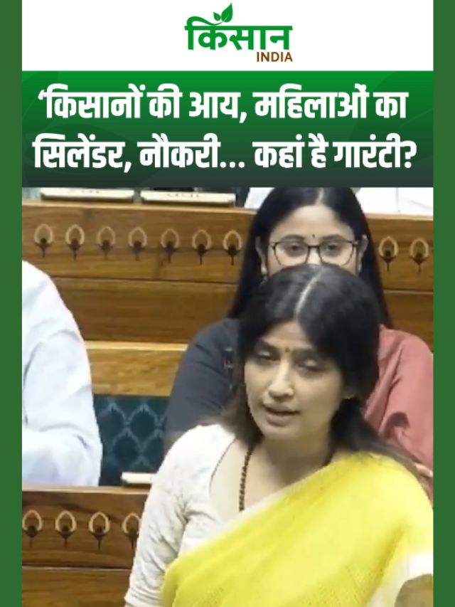 ‘किसानों की आय, महिलाओं का सिलेंडर, नौकरी… कहां है गारंटी?' - डिंपल यादव