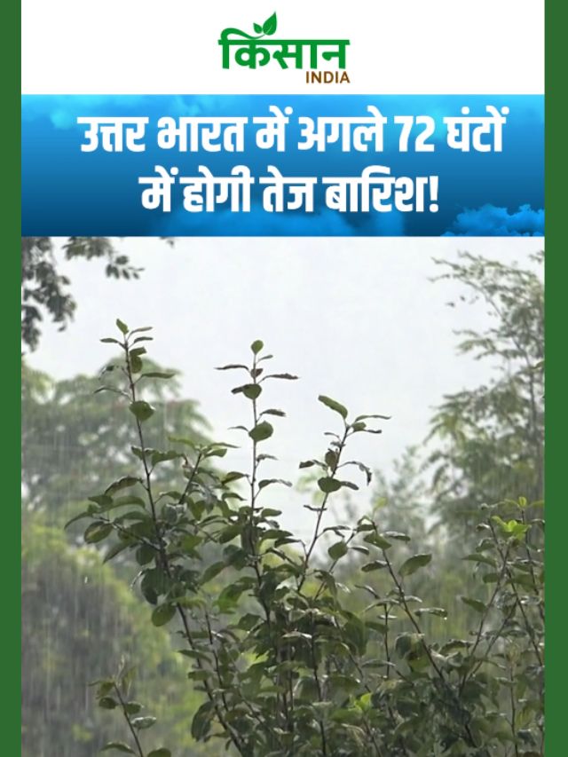 उत्तर भारत में राहत की बारिश, हिमाचल-जम्मू में ओलावृष्टि और तेज आंधी का खतरा!