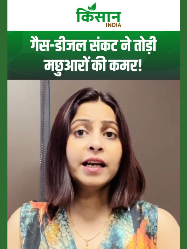 केरल में ठप होता मछली कारोबार, गैस-डीजल संकट ने तोड़ी मछुआरों की कमर!