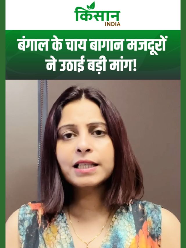 बंगाल के बुनियादी सुविधाओं से वंचित मजदूर, चाय बागान मजदूरों ने उठाई बड़ी मांग!