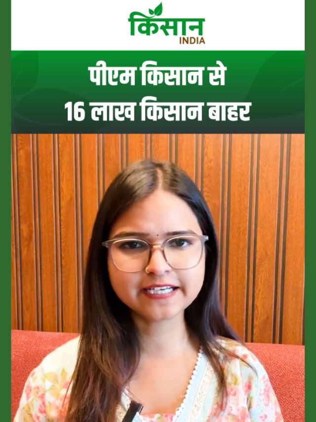 पीएम किसान सम्मान निधि योजना से बाहर हुए 16 लाख किसान, जानें कैसे मिलेगा दोबारा लाभ?
